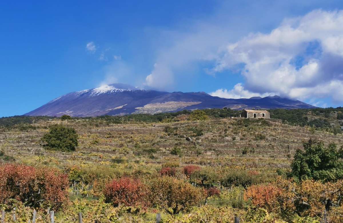 Vini Etna Doc, nel 2022 cresce la produzione: 5,8 milioni di bottiglie