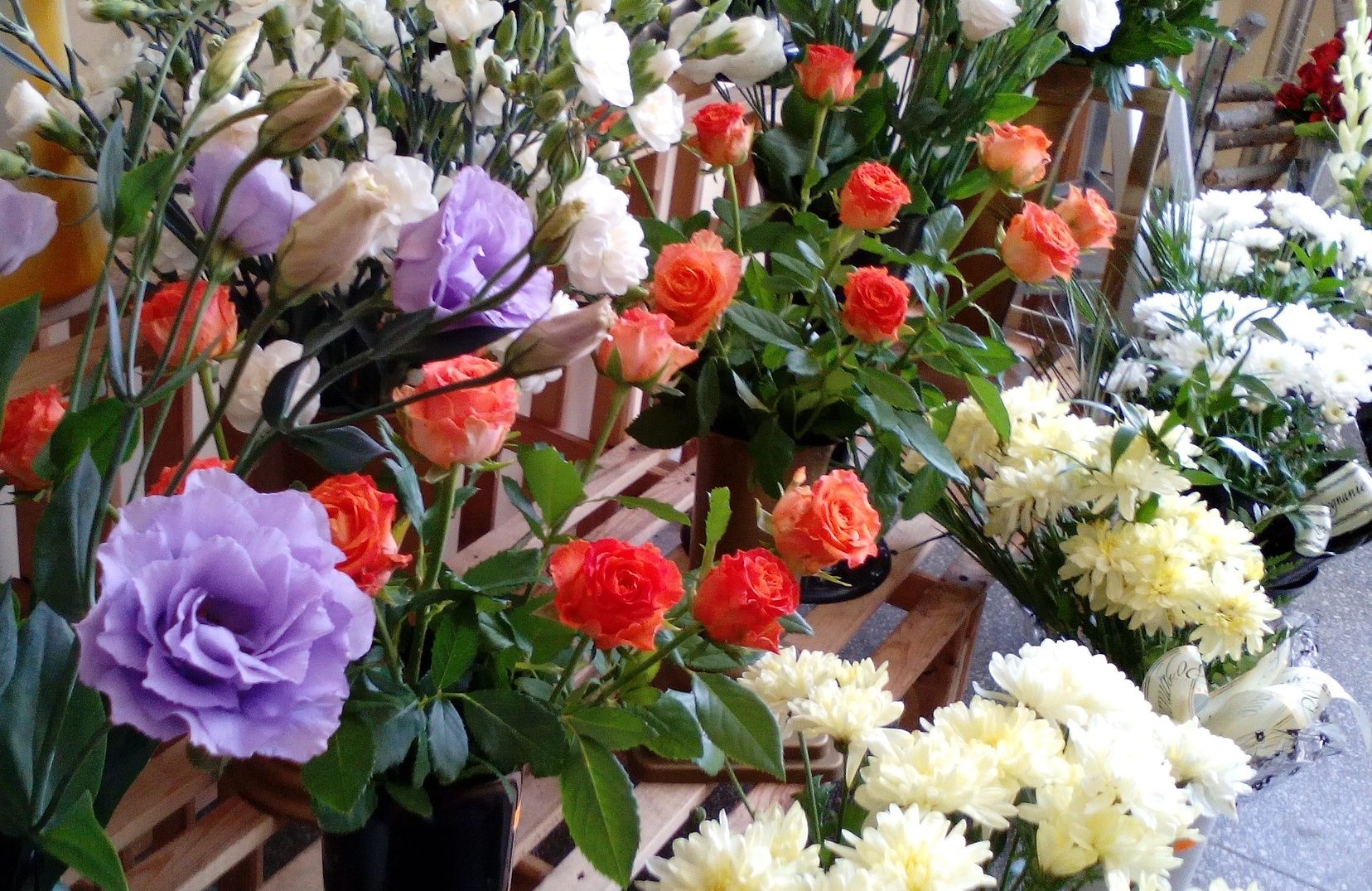 “Bonus fiorai”, accolte 644 richieste. Turano: nuovo bando a inizio agosto