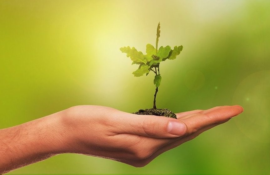 Startup, sgravi al 50% per chi investe. “Bene, ma non basta”
