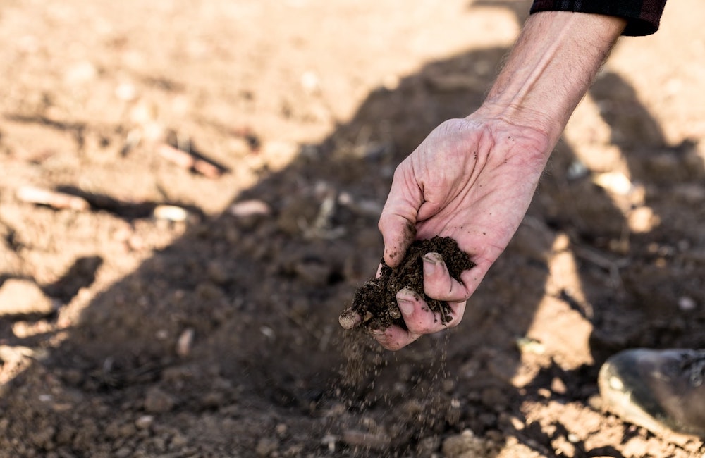 Burocrazia e controlli: così si sprecano i fondi agricoli Ue