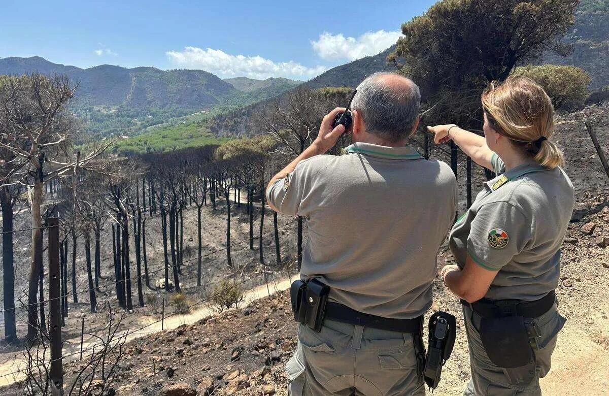 Risarcimento ai forestali, anzi no. 18mila lavoratori col fiato sospeso in Sicilia