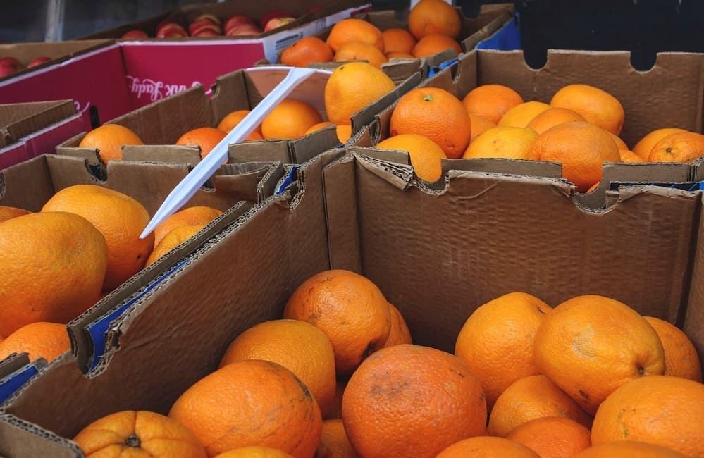 Produzione arance, chiesto lo stato di calamità naturale in Sicilia Orientale
