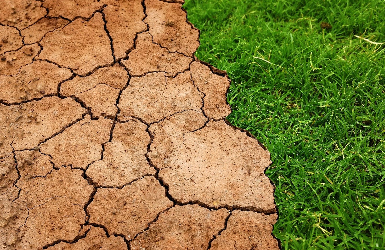 Danni da maltempo, Confagricoltura Sicilia: “Attivare lo stato di calamità”