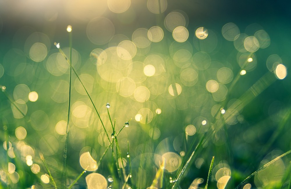 Green Expo, a Catania il primo evento fieristico della ripartenza