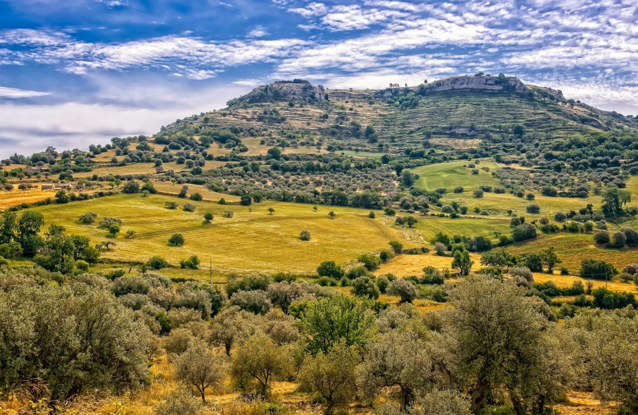 Aziende agricole piccole e povere. I fondi Psr “non vanno”
