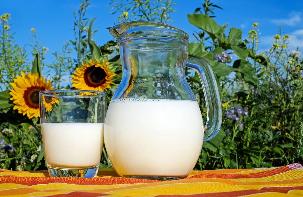 Lactalis, obiettivo energia green e 20 milioni di investimenti in Sicilia