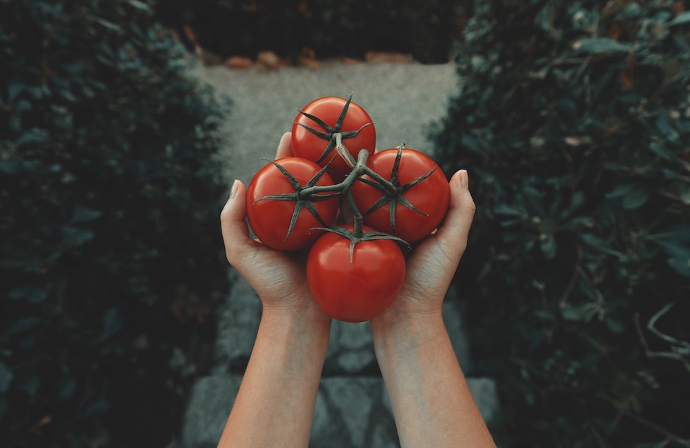 Effetto Covid già finito: i prezzi dell’ortofrutta sono crollati