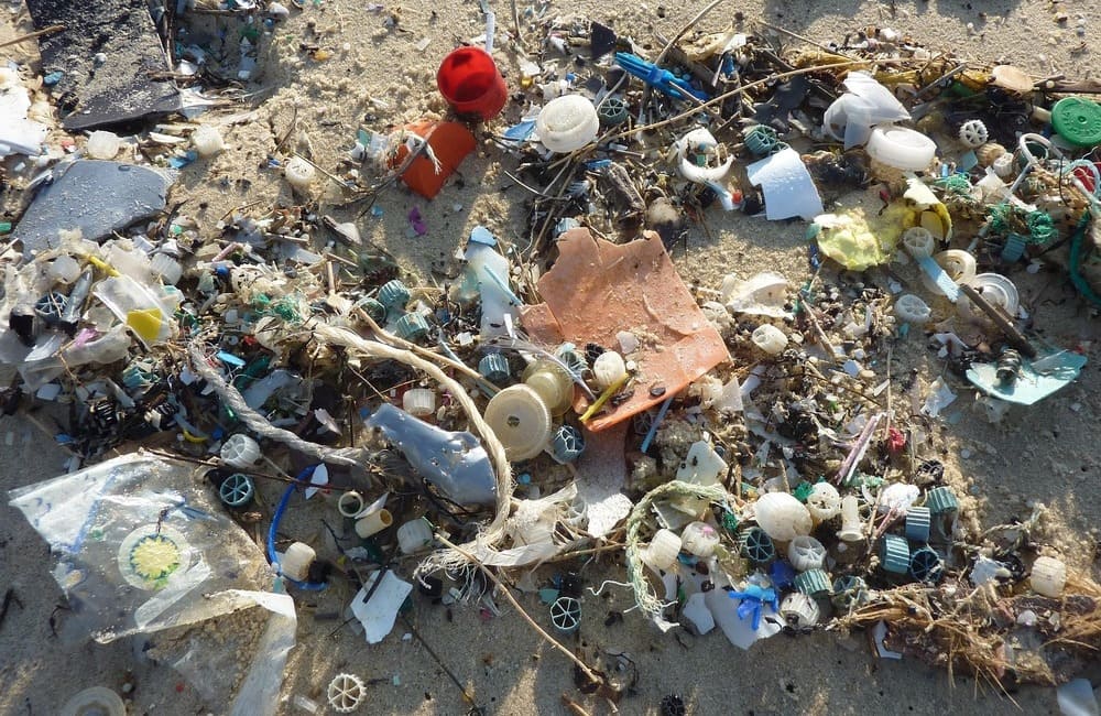 Come ingeriamo microplastica, una ricerca Unict