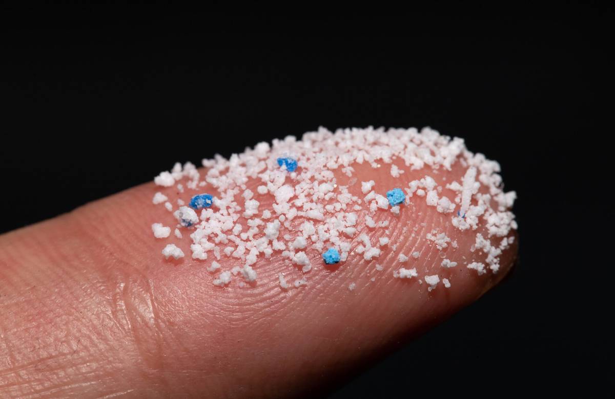 Microplastiche, docente catanese consulente del report Fao