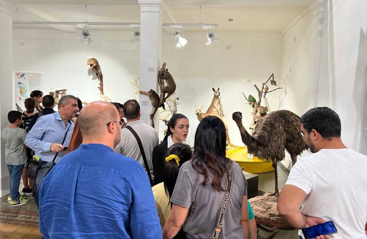 Zoologia e farfalle protagonisti del weekend culturale