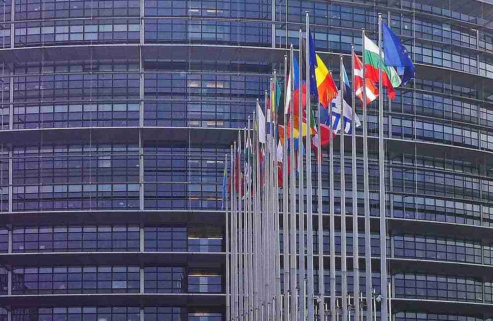 Europee 2024, gli otto eletti in Sicilia. Cosa faranno Tamajo e Falcone?