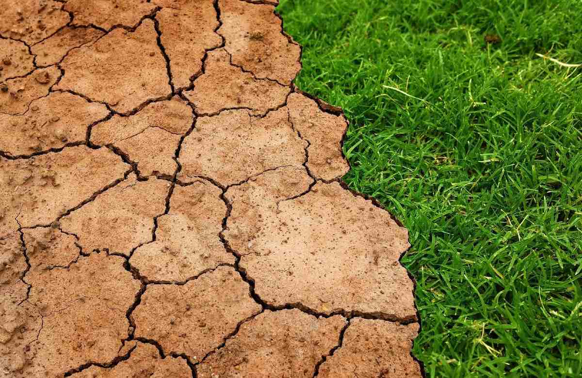 Consorzi di bonifica, Fai, Flai e Filbi: “Si applichino le nostre proposte”