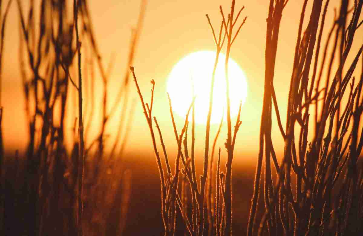 Sicilia, allerta afa anche il 30 giugno. Il primo luglio previsti 39 gradi a Palermo