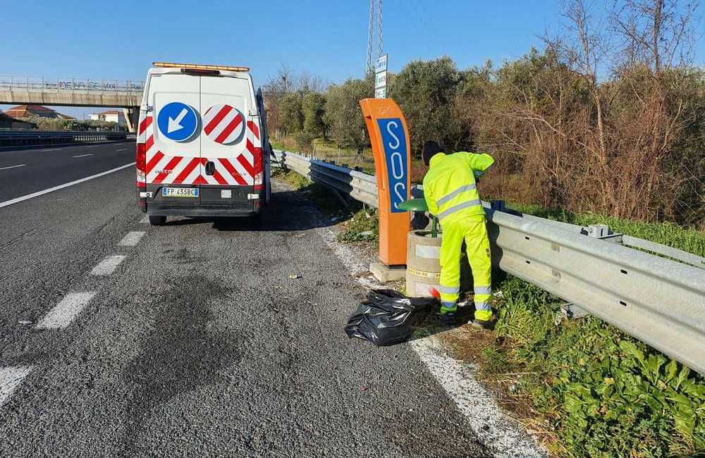 Anas, due milioni per il verde
