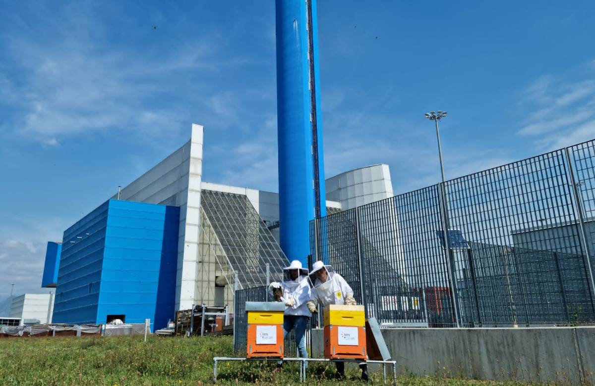Termovalorizzatori in Sicilia. Nasce un ufficio con 2 dirigenti e 14 funzionari