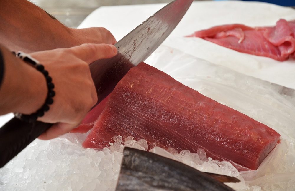 Tonno rosso, Ministero riconosce quote per la piccola pesca costiera in Sicilia