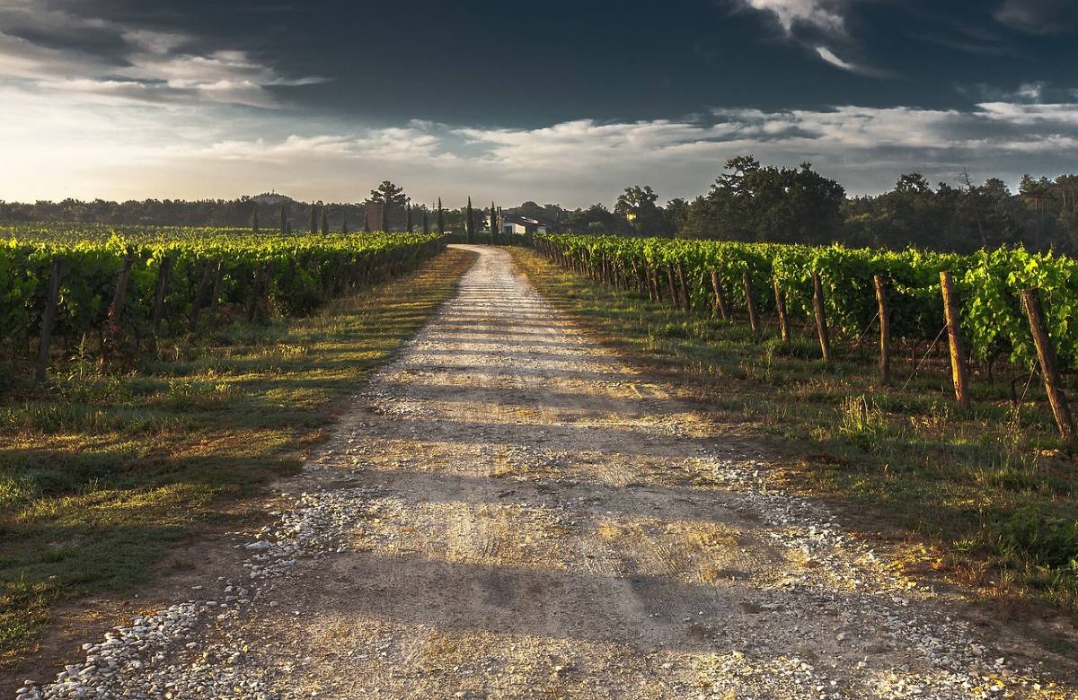 Sicilia e Veneto, regioni unite in nome dei vigneti patrimonio Unesco