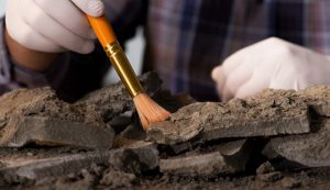 Archeologia - fonte_Canva - Focusicilia.it