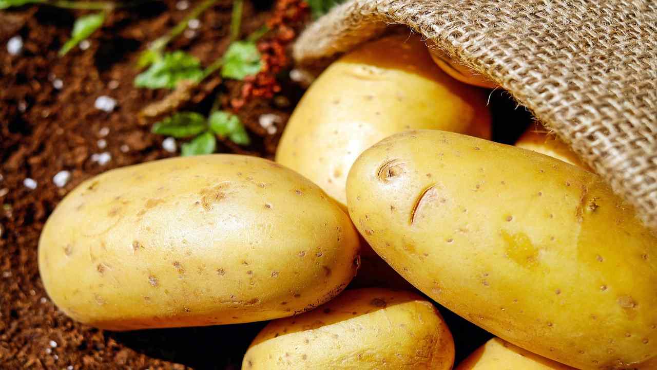 Patate (Pixabay)-focusicilia.it