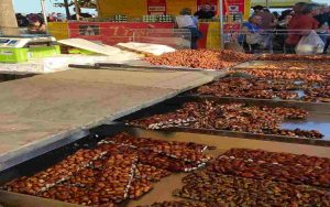 Sagra - Focusicilia.it