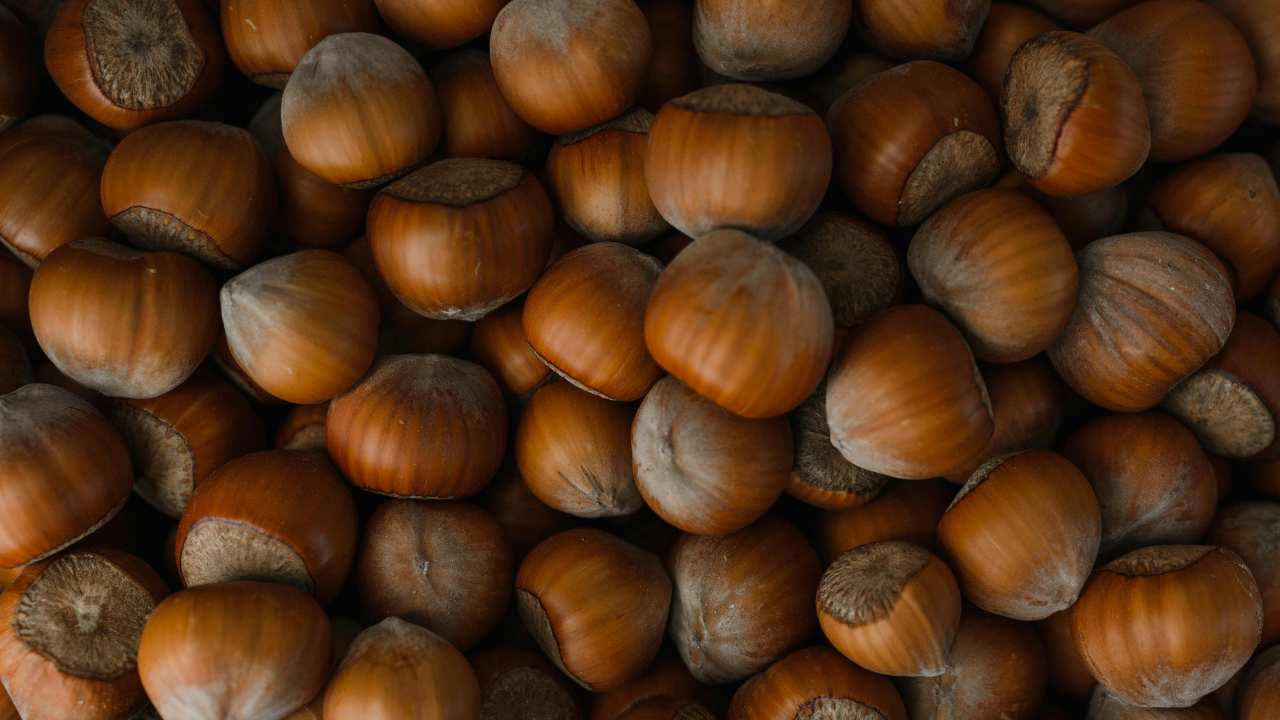 Nocciola