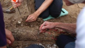 Archeologia - fonte_Ansa - focusicilia.it