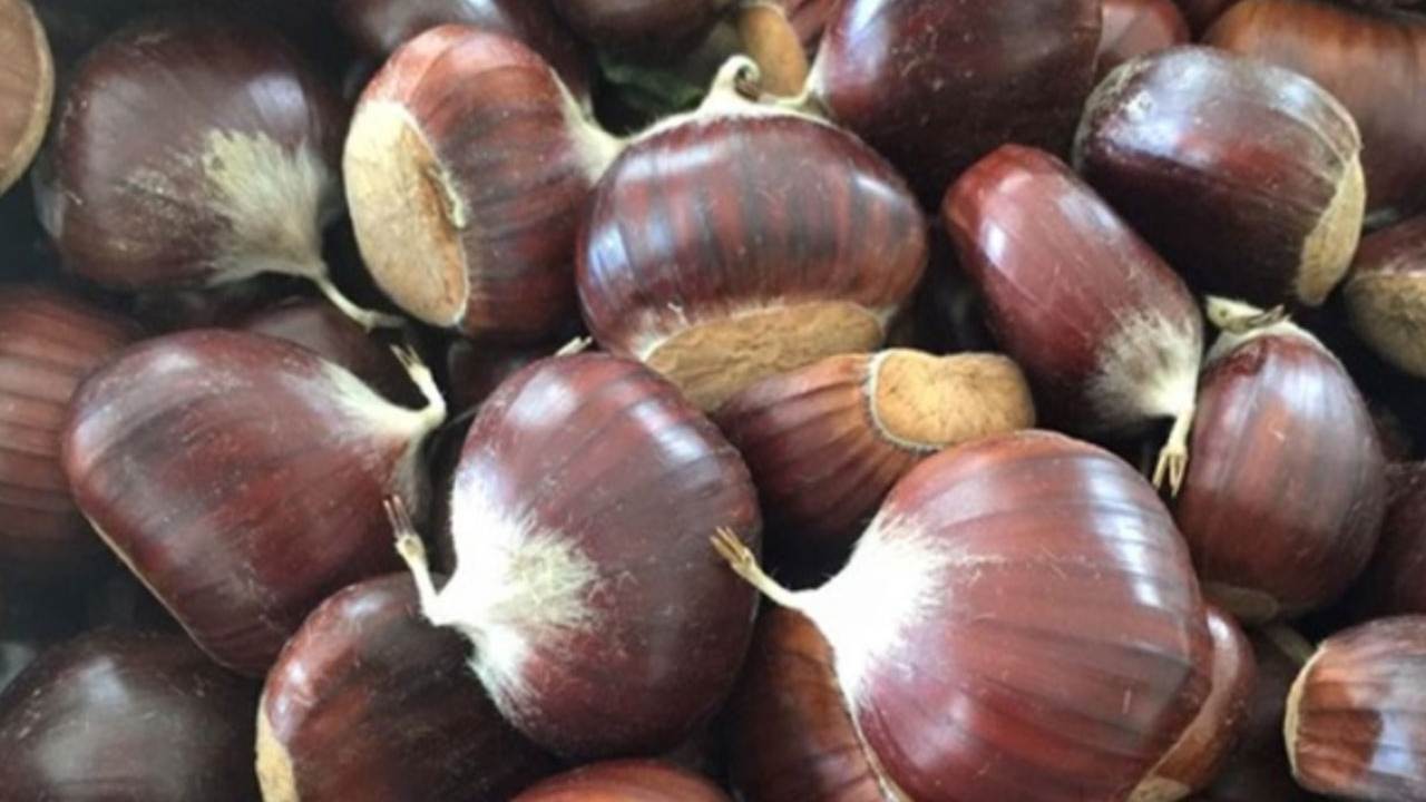 Castagna mania, c'è un errore da non commettere - Focusicilia.it