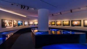 Evolutio - fonte_web - Focusicilia.it