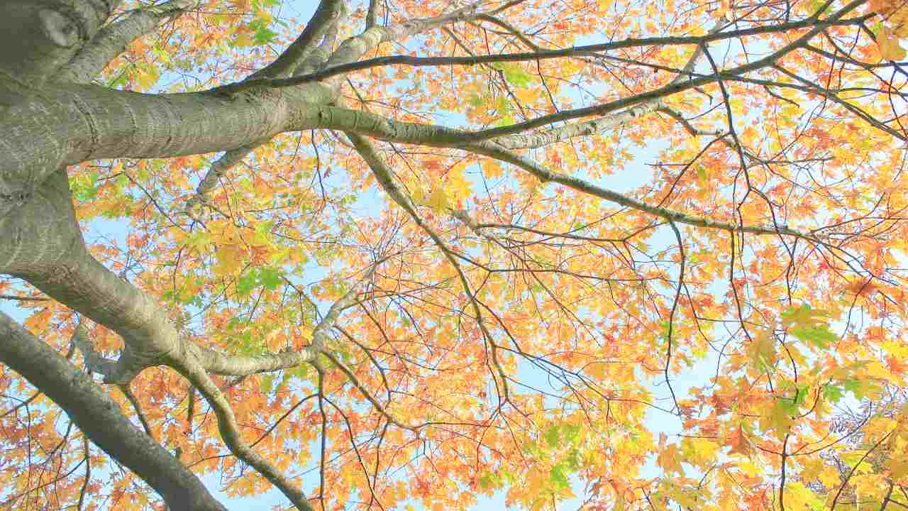 Autunno in Sicilia: mete perfette per famiglie, sportivi, enogastronomici e amanti della cultura