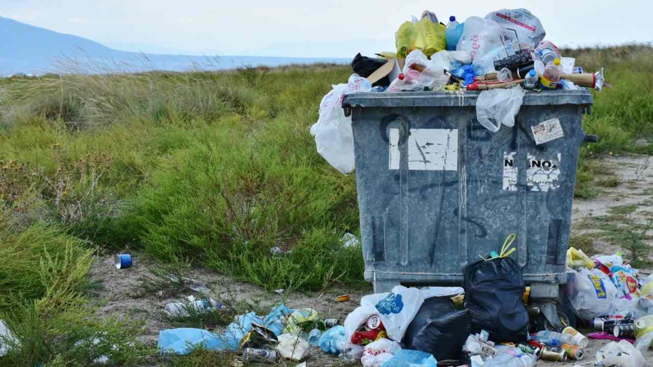Non puoi gettare l'immondizia