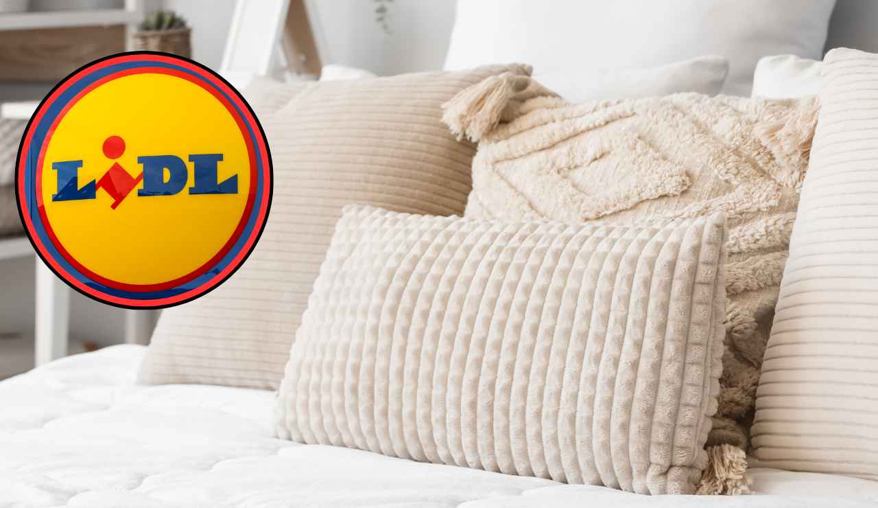 Sogni da re con Lidl - Focusicilia.it