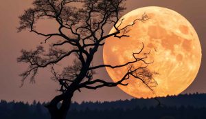 Super Luna di ottobre i segni che devono temere di più - Focusicilia.it (Fonte foto Canva)