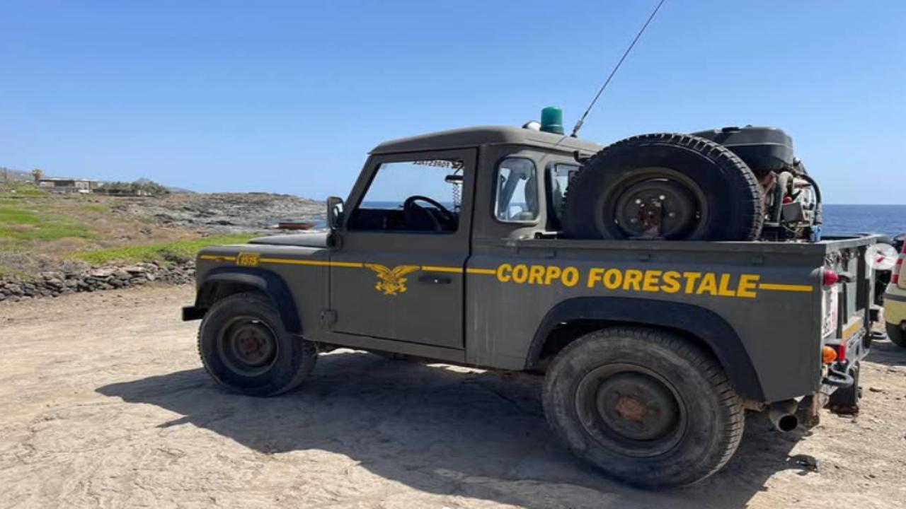 Corpo Forestale Sicilia