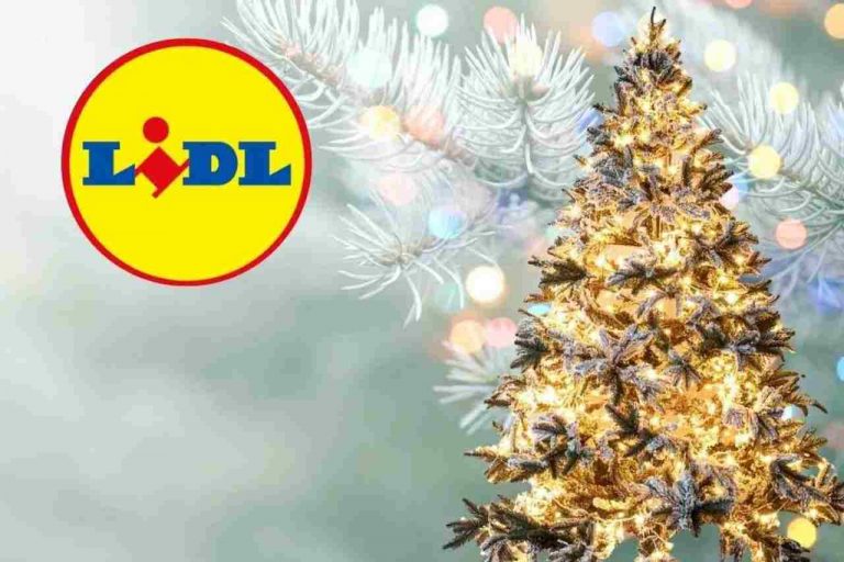 Lidl lancia l’albero “effetto Rockefeller” a 24,99€: ti sembrerà di essere a New York durante le festività