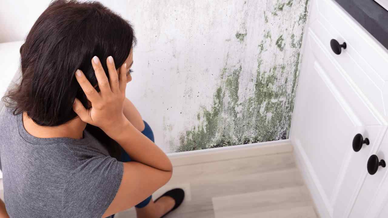 Muffa in casa, via senza rischi | Le mosse urgenti tra aria e asciugatura: te ne liberi in 48 ore per sempre