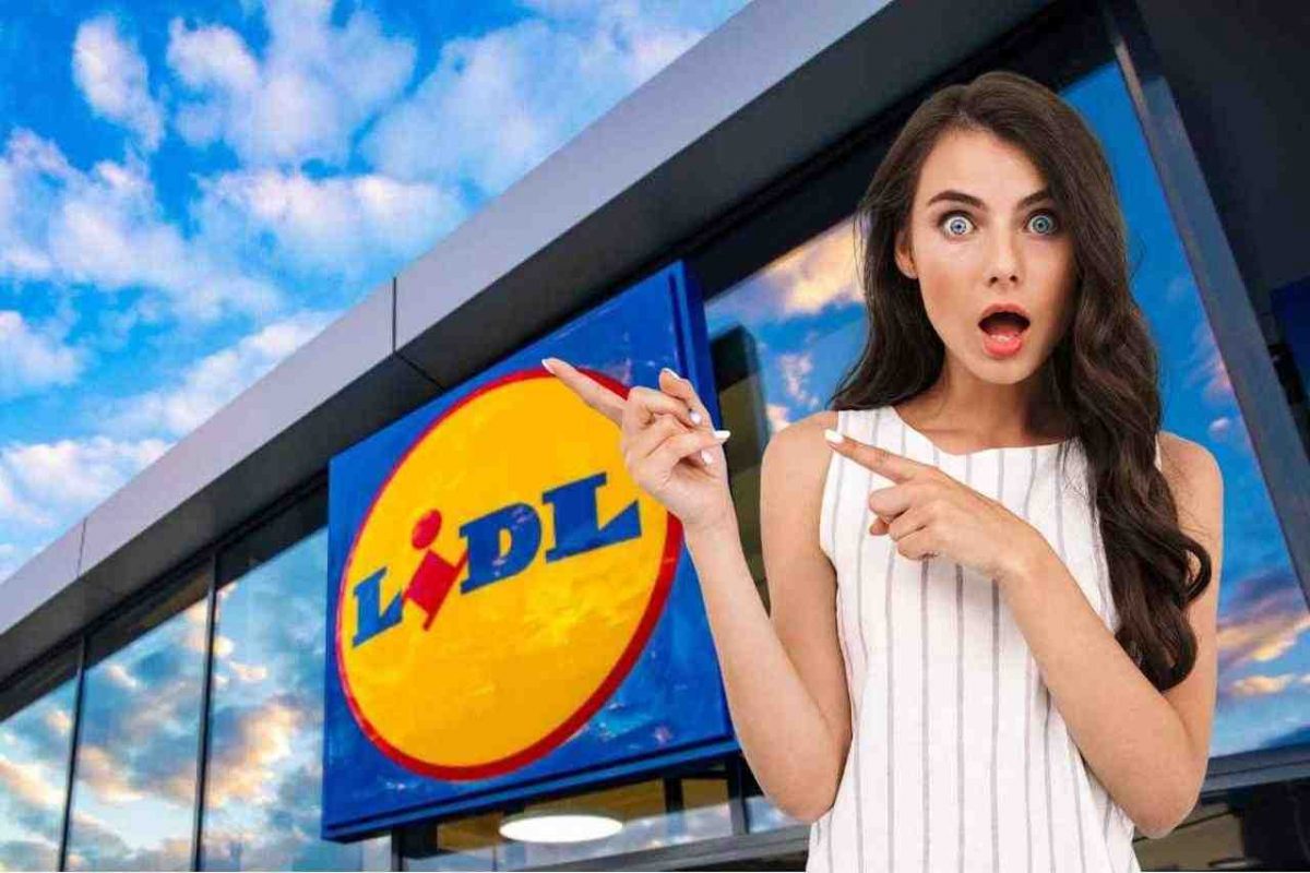 Lidl rilancia nel Black Friday, 3 elettrodomestici al prezzo di 1 | L’offerta che sta facendo impazzire i clienti