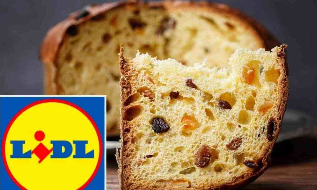 Panettone Lidl, in commercio un nuovo gusto mai visto prima: e costa pochissimo | Arriva direttamente dalla Sicilia