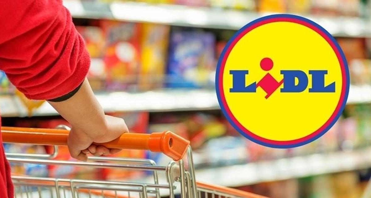 Lidl distrugge MediaWorld, elettrodomestico da cucina più cercato finisce a 9,90 € | L’offerta che manda in tilt i supermercati